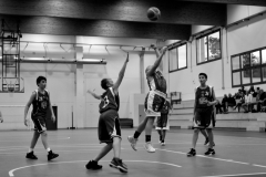© 2018 . Royal Basket