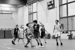 © 2018 . Royal Basket