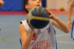 © 2019 . Royal Basket