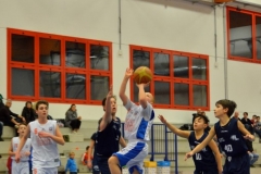 © 2019 . Royal Basket