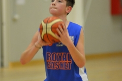 © 2019 . Royal Basket