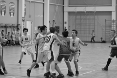 © 2019 . Royal Basket