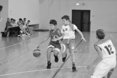© 2019 . Royal Basket