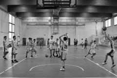 © 2019 . Royal Basket