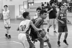 © 2019 . Royal Basket