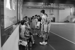 © 2019 . Royal Basket
