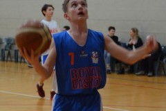 © 2019 . Royal Basket