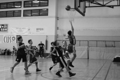 © 2019 . Royal Basket