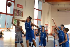 © 2020 . Royal Basket