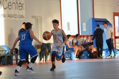 © 2020 . Royal Basket