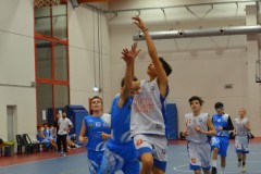 © 2020 . Royal Basket