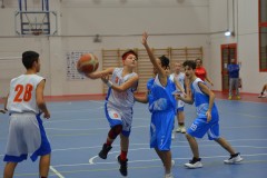 © 2020 . Royal Basket