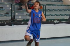 © 2020 . Royal Basket
