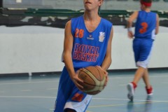 © 2020 . Royal Basket
