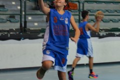 © 2020 . Royal Basket