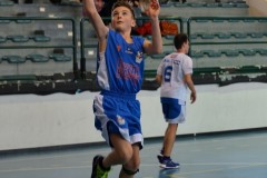 © 2020 . Royal Basket