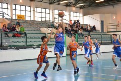 © 2020 . Royal Basket