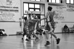 © 2020 . Royal Basket
