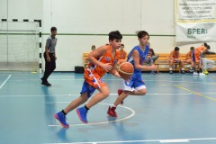 © 2020 . Royal Basket