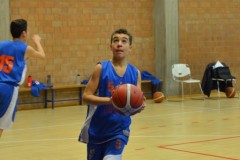 © 2020 . Royal Basket