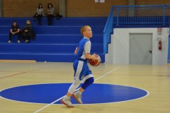 © 2020 . Royal Basket