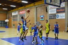 © 2020 . Royal Basket