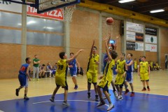 © 2020 . Royal Basket
