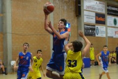 © 2020 . Royal Basket
