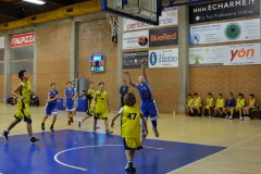 © 2020 . Royal Basket