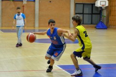 © 2020 . Royal Basket