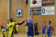 © 2020 . Royal Basket