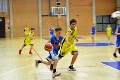 © 2020 . Royal Basket