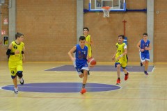 © 2020 . Royal Basket