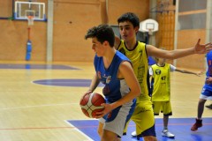 © 2020 . Royal Basket