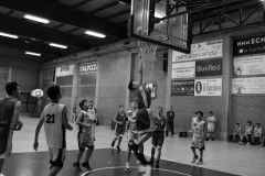 © 2020 . Royal Basket