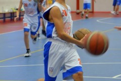 © 2020 . Royal Basket