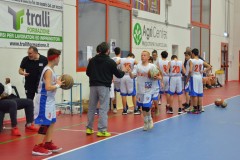 © 2020 . Royal Basket