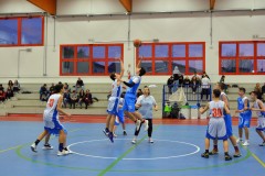 © 2020 . Royal Basket