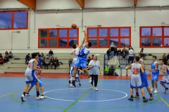 © 2020 . Royal Basket