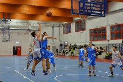 © 2020 . Royal Basket