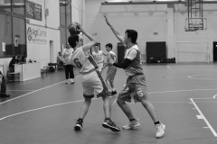 © 2020 . Royal Basket