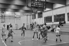 © 2020 . Royal Basket