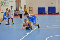© 2020 . Royal Basket