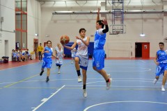 © 2020 . Royal Basket