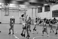 © 2020 . Royal Basket