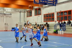 © 2020 . Royal Basket