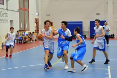 © 2020 . Royal Basket