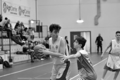 © 2020 . Royal Basket