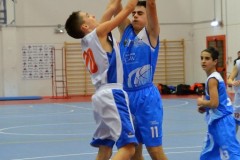 © 2020 . Royal Basket